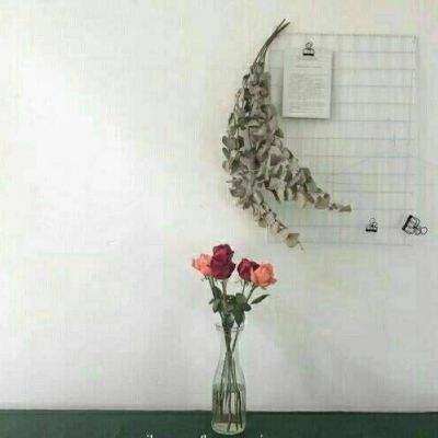 机动战队裂变手机版下载
