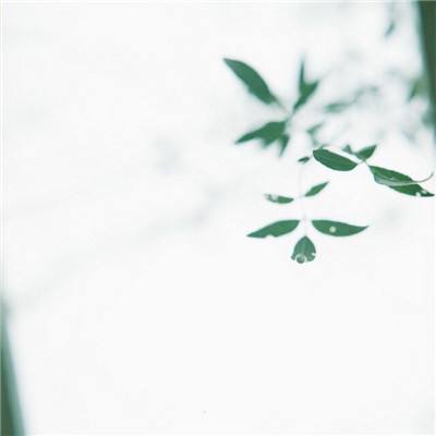 墨影侠踪游戏(暂未上线)v1.1.0 安卓版